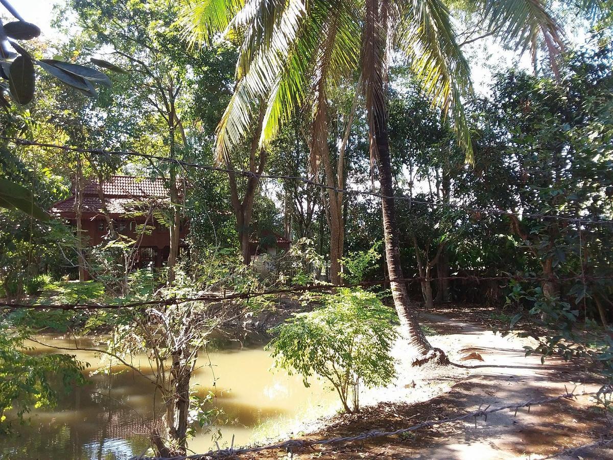 Your Home In Mae Rim Ban Muang Pha Екстериор снимка