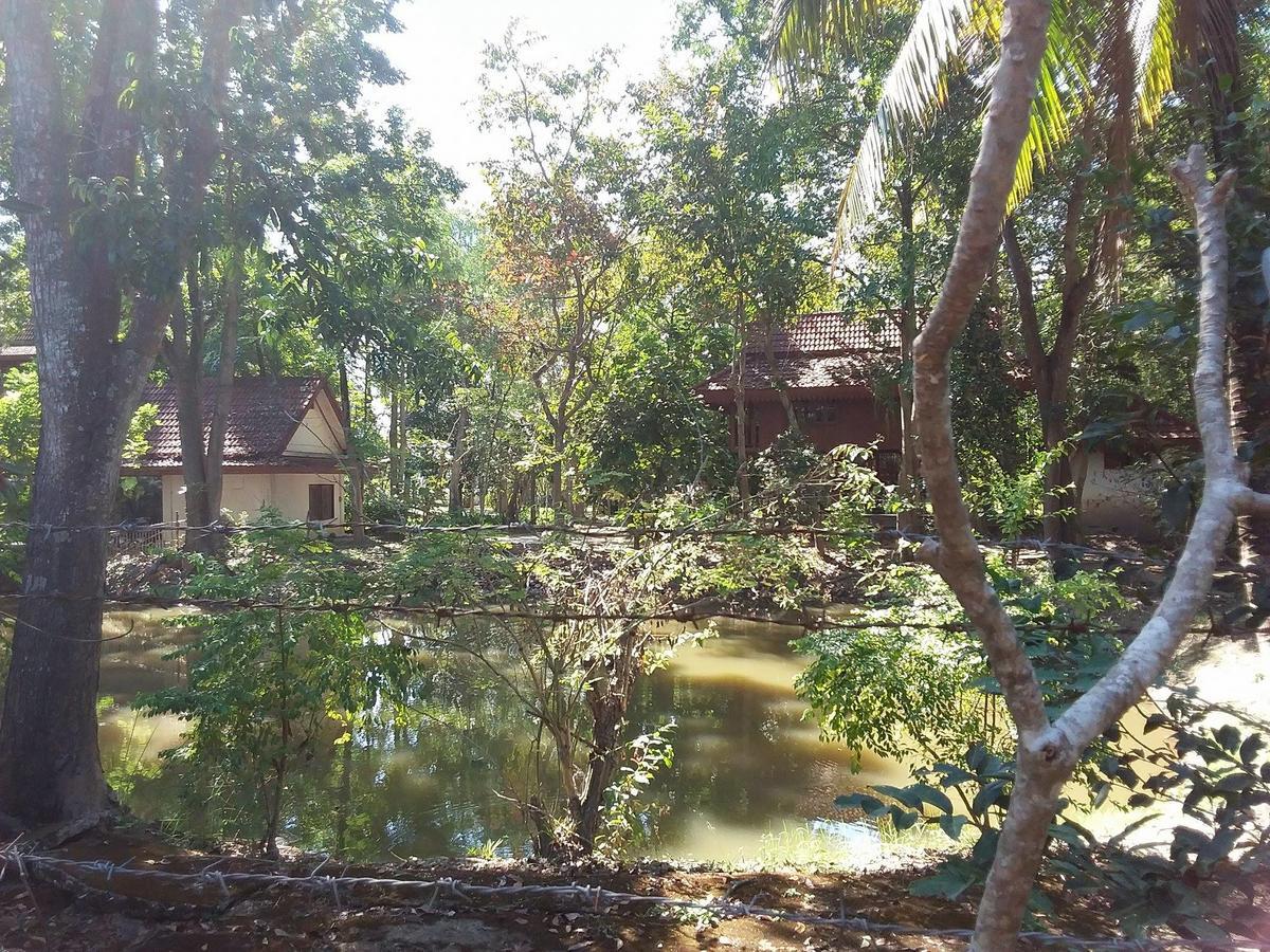 Your Home In Mae Rim Ban Muang Pha Екстериор снимка
