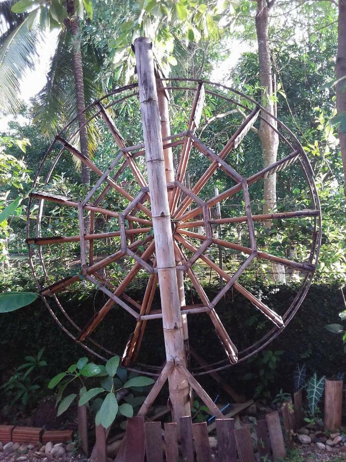 Your Home In Mae Rim Ban Muang Pha Екстериор снимка