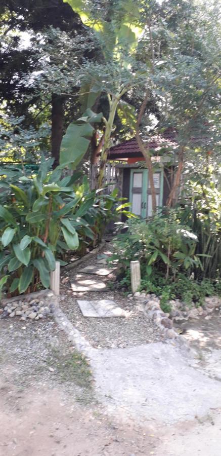 Your Home In Mae Rim Ban Muang Pha Екстериор снимка